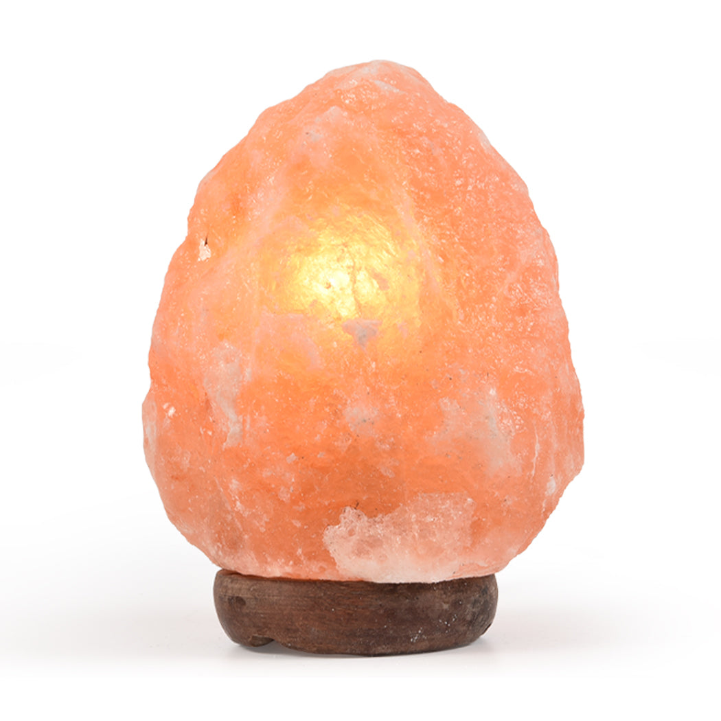 2-3 kg Himalayan Salt Lamp Rock Crystal Natural Light Dimmer Switch Cord Globes