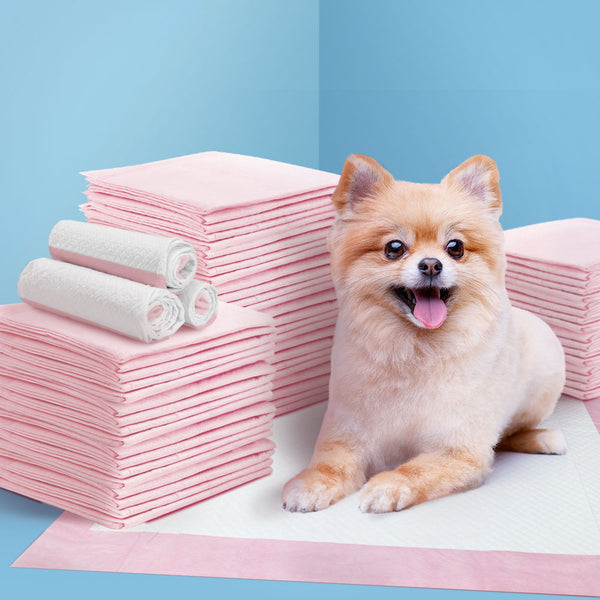 i.Pet Pet Training Pads 200 Puppy Dog Cat Toilet Indoor 60x60cm Super Absorbent